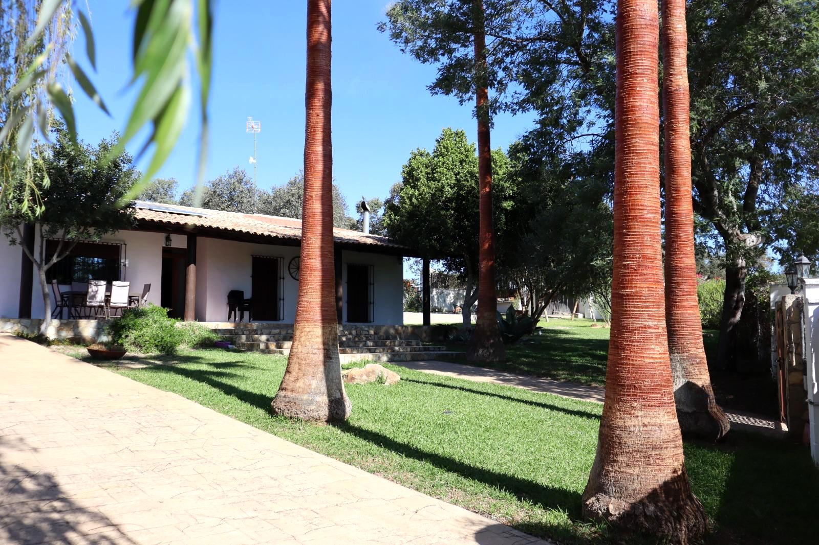 Jardín con palmeras y amplias zonas verdes